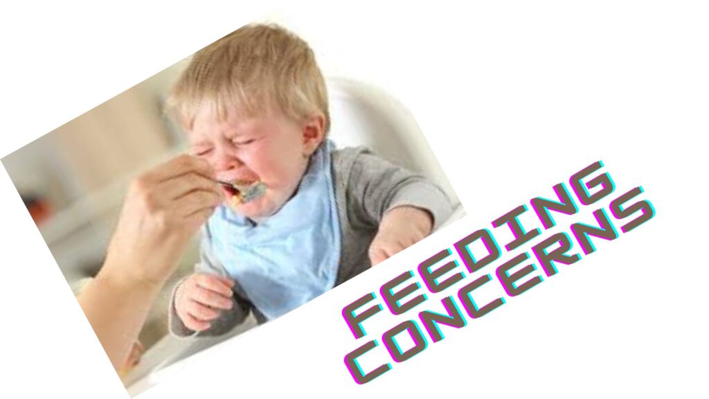 Feeding concerns